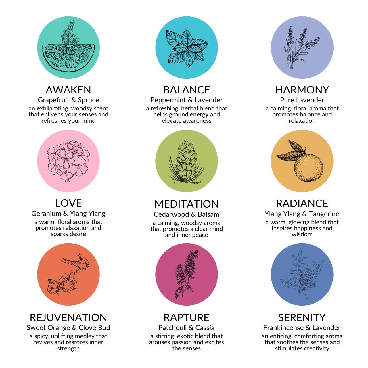 Beeswax Aromatherapy Sanctuary Glasses