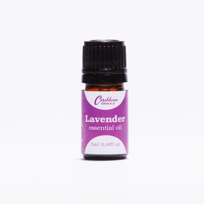 Lavender Essential Oil – Pure Aromatherapy Oil
